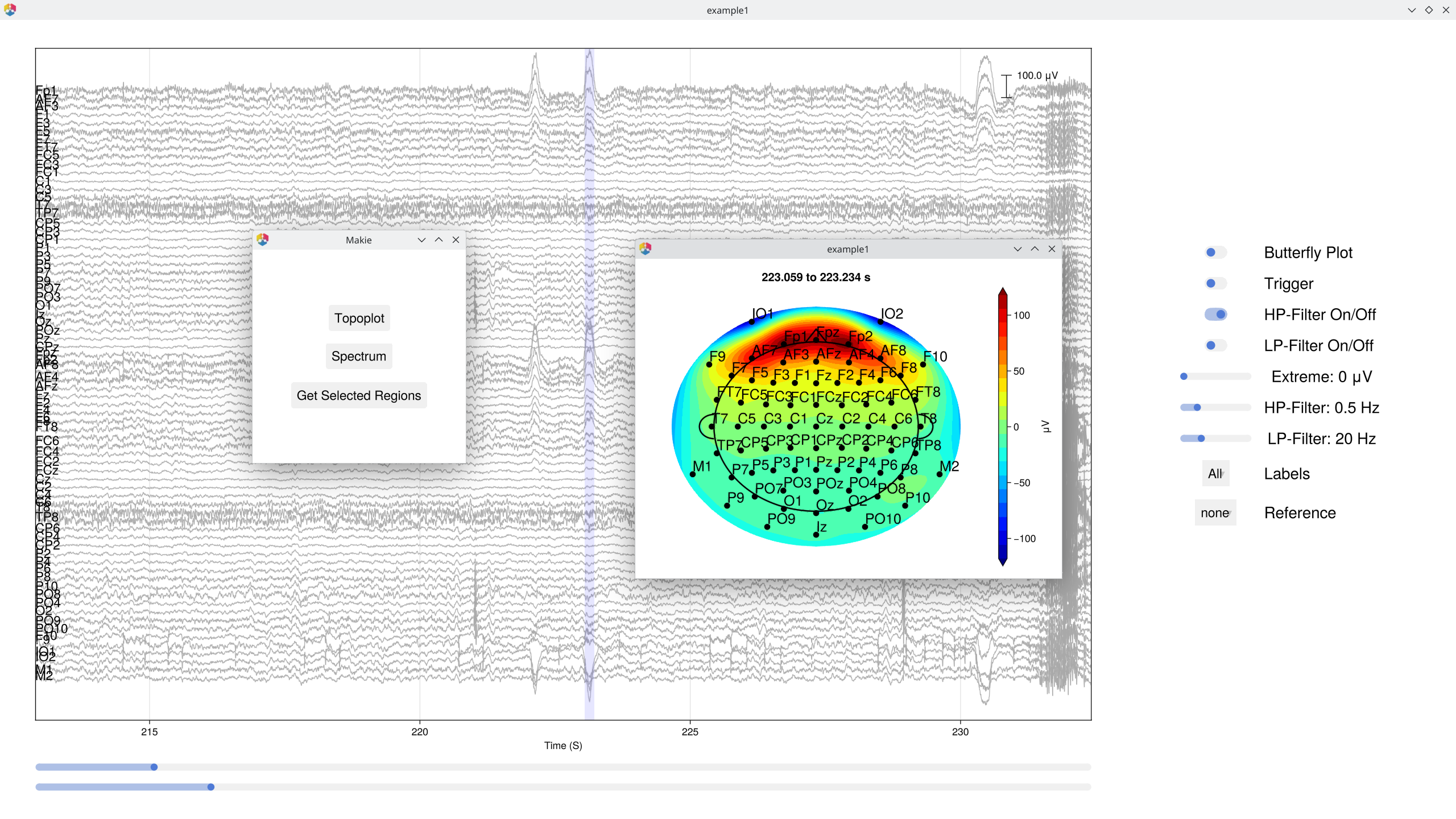 Data browser after filtering